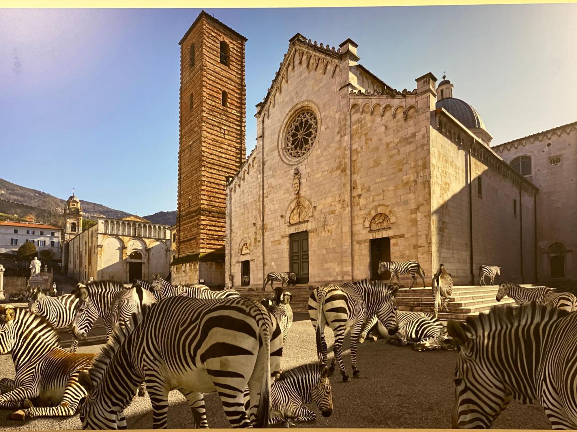 Bed and Breakfast Pietrasanta Ai Teatri Esterno foto